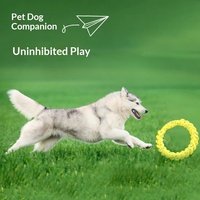 Jouets interactifs pour animaux de compagnie : Anneau pour chien en ETPU torsadé à rebond élevé, jouet flottant à mâcher pour libérer l'énergie des animaux en extérieur