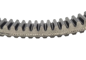 Correa de transmisión Sportswomen 800 XP / Crew - Product Image 2