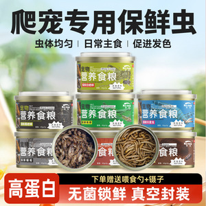 Insectes Conservés Aliment pour Reptiles Riches en Protéines : Grillons, Vers de Farine, Dubia, Orge pour Tortues, Oiseaux, Hamsters, Chinchillas – Boîte de 40g - Product Image 4