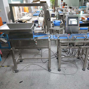 Báscula Electrónica con Cinta Transportadora para Clasificar y Calibrar en Peso Patatas, Pescado y Pollos - Product Image 6