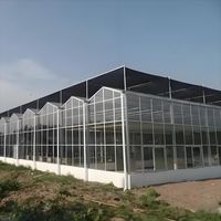 Serre agricole intelligente multi-voûtes de type Venlo en polycarbonate (feuille de PC) de 8 mm avec système hydroponique