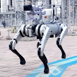 Robot Cuadrúpedo Unitree Go2 EDU Estándar con Reconocimiento de Visión por IA, Control por Gestos, Educativo, Linux, Control por Aplicación, Metálico - Product Image 1
