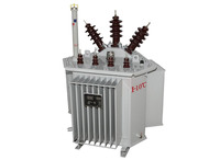 Transformador Tridimensional Sumergido en Aceite de 15kV, Certificado por Australia AS/NZS, Exportación a Australia, Stock Suficiente Disponible