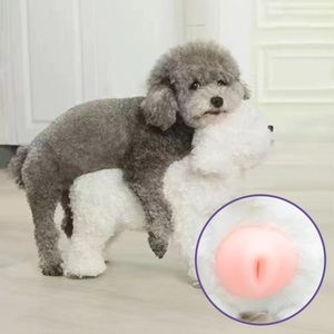 sex toy for dogs LELO Sex Toys