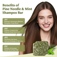 Sampo Batang Organik 2-in-1 Anti-Ketombe Anti-Kusut untuk Rambut Tipis dengan Ekstrak Jarum Pinus, Mencegah Kerontokan Rambut