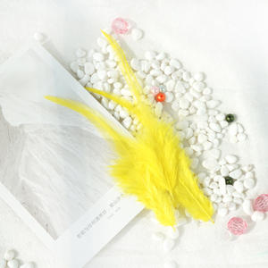 الريش بالجملة مع أطراف مدببة ريش الدجاج الملون مع أطراف بيضاء كبيرة ديي الحرف اليدوية إكسسوارات الملابس - Product Image 5