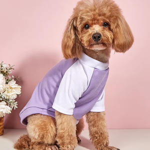Ropa para perros Trendy Classic Purple Color-Blocked Raglan Primavera Verano Ligero Transpirable Gato <span class=keywords><strong>Chihuahua</strong></span> Camiseta <span class=keywords><strong>de</strong></span> dos patas - Product Image 4