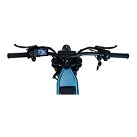 Vélo électrique tout-terrain CS-F1, pneus tubeless de 19 et 17 pouces, moteur de 1500 W, 43 km/h, autonomie de 30 km, double suspension, E-MTB pour la montagne/urbain