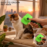 Fabricant OEM & ODM – Brosse lissante autonettoyante pour poils de chat et de chien, design moderne et simple, pratique
