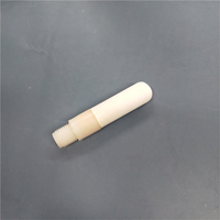 Pointes poreuses sonde en céramique pour tensiomètre de sol couvert diverses spécifications