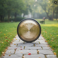 Gong professionnel VANSIR de haute qualité, 32 pouces, en bronze B20, pour la sonothérapie, Dark Moon, accessoires de tambour faits à la main, pratique