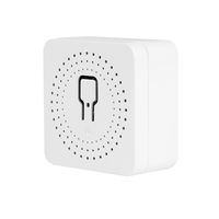 Disjoncteur intelligent Wi-Fi Tuya Alexa 16A, mini-interrupteur intelligent télécommandé avec programmation horaire, relais DIY pour la maison et le bureau