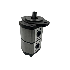 Bomba Hidráulica Nueva OEM Serie AZPGG AZPFF AZPF AZPN AZPG AZPNF AZPNN AZPFF-11-008/004RAB0101 de Alta Presión y Engranajes Externos - Product Image 1