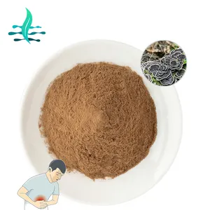 Hoge Kwaliteit Coriolus Versicolor Extract 30% 50% Polysaccharide Kalkoen Staart Paddestoel