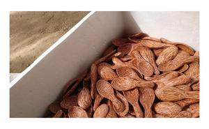 ช้อนรับประทานอาหารทำจากไม้ธรรมชาติแบบ100% ช้อนซุปชาทำจากไม้แบบใช้ซ้ำได้คุณภาพดีแบบกำหนดเองทำในเวียดนาม99ข้อมูลสีทอง - Product Image 5