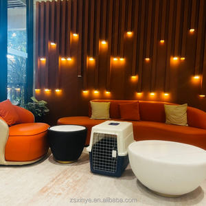 Cage de transport pour animaux de compagnie, vente chaude en usine, en plastique PP, respirante sur tous les côtés pour prévenir l'anxiété - Product Image 3