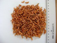 Nourriture pour poissons d'aquarium, petits gammarus et crevettes séchés, nourriture pour reptiles, nourriture pour animaux de compagnie