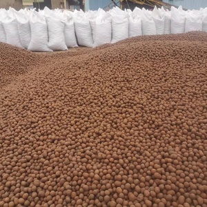 <span class=keywords><strong>LECA</strong></span> di palline di argilla 8-12mm per piantare palline di argilla in crescita - Product Image 1