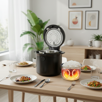 Cuisinière à riz électrique intelligente avec écran LED numérique, revêtement antiadhésif, fonction minuterie, capacité de 2 L, en plastique, pour la maison