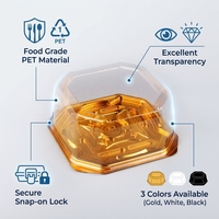 Boîte d'emballage alimentaire jetable écologique en PET, carrée, transparente, avec couvercle, or, blanc, noir, 165 mm, 205 mm, pour hamburgers, sandwichs, pâtisseries, sushis, gâteaux