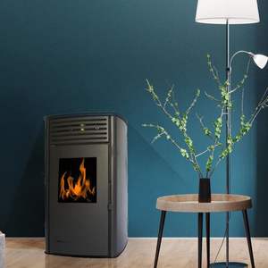 Poêle à granulés en fonte, chaudière à eau, brûleur à granulés, foyer, chauffage central - Product Image 3