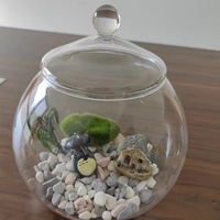 Vas terarium kaca borosilikat dekorasi DIY dengan tutup transparan ukuran kustom untuk RUMAH & kantor meja dinding vas tampilan bunga