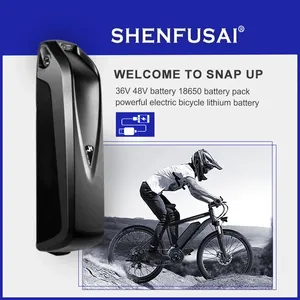 Gốc hailong Lithium USB pin 36V-72V 15ah 20Ah CEM/ODM 15 năm lithium chuyên nghiệp sản xuất pin nhà máy + Sạc - Product Image 4