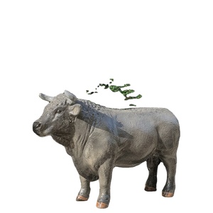 Escultura de Personaje de Dibujos Animados Personalizada Creativa, Figura de Animal de Tamaño Real, Artesanía de Resina, Estatua de Fibra de Vidrio Personalizada - Product Image 1