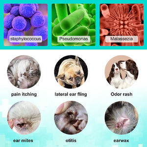 <span class=keywords><strong>Traitement</strong></span> anti-acariens pour chiens et chats sous marque privée, Gouttes pour l'infection auriculaire, Gouttes nettoyantes pour les oreilles des animaux avec aloe vera apaisant - Product Image 4