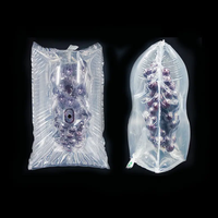 Film de protection PE+PA à bulles d'air de haute qualité pour le transport des raisins avec emballage antichoc et coussin d'air gonflable