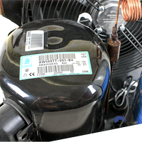Système de refroidissement par eau 3HP pour l'élevage de fruits de mer, compresseur scroll 7500W inclus, noir, 120L