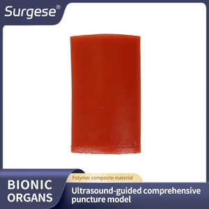 Modelo de Práctica de Biopsia Multiaobjetivo 3 en 1 IG007-S1 para Lesiones de Vasos y Nervios, con Guía de Ultrasonido para Entrenamiento Integral de Punción - Product Image 6