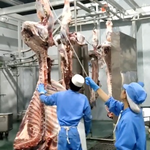 อุปกรณ์การฆ่าวัวแบบครบวงจรแบบอัตโนมัติอุปกรณ์การฆ่าวัวควายฮาลาลพร้อมส่วนประกอบมอเตอร์หลัก - Product Image 6