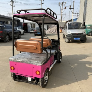 Scooter électrique à quatre roues, 4 vélos électriques, moteur puissant, longue autonomie, vélo électrique de ville avec toit, S11 Cargo E-bike - Product Image 2