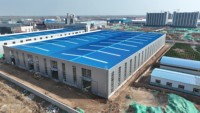 Estructura de Acero Ligero de Primera Calidad, Fabricación Estándar para Talleres de Construcción Industrial, Edificio de Acero Estable