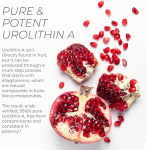 BioFlex Preço de Fábrica na China Fórmula Personalizada Suplementos de Saúde para Cuidados com a Pele <span class=keywords><strong>Anti</strong></span>-Envelhecimento 1000mg Cápsulas Veganas de Urolithin A - Product Image 4