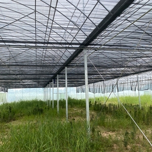Serres de fournisseur chinois 2025, structure en acier galvanisé, agriculture, utilisées pour les 4 saisons - Product Image 6