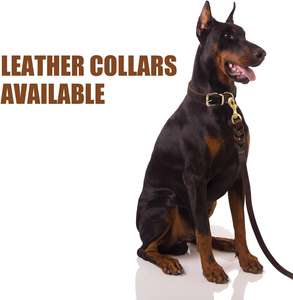 Neu eingetroffen: Geflochtenes, robustes und langlebiges Hundeleinen- und Halsband-Set aus Leder, geeignet für kleine und mittelgroße Hunde - Product Image 2