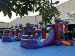 Trung Quốc <span class=keywords><strong>Inflatable</strong></span> Combo trượt với nhảy lâu đài <span class=keywords><strong>Bouncer</strong></span> nhà <span class=keywords><strong>2025</strong></span> <span class=keywords><strong>Inflatable</strong></span> <span class=keywords><strong>Bouncer</strong></span> <span class=keywords><strong>MOONWALK</strong></span> nhà bị trả lại - Product Image 5