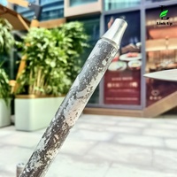 Original allemand narguilé magix shisha élégant en acier inoxydable intérieur fête salon Restaurant Bar café fumée narguilé Shesha Sheesha