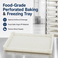 CE RoHS gecertificeerde, food grade HDPE IQF vriesbak, stapelbaar, geperforeerd gaas voor koude opslag van vis, vlees en fruit