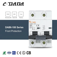Disjoncteur miniature DAB6-125 2P (IEC/EN 60898-1) à prix d'usine – Protection contre les surcharges et les courts-circuits CDADA