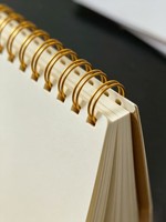 Großhandel Katzenmuster Goldenes Doppeldrahtgebundenes Notizbuch Vollfarbiges Cartoon-Tier-Kunststudio Hardcover-Tagebuch als Geschenk für Studenten