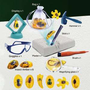 Kids Science Manual Bediening Opgravingsset 3d Dier Graven <span class=keywords><strong>Kit</strong></span> Speelgoed Educatief Diy Insect Graven <span class=keywords><strong>Kit</strong></span> Speelgoed - Product Image 2