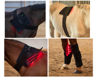 Lampe LED de thérapie à lumière rouge proche infrarouge pour animaux, soulagement de la douleur, Machine de coussin de thérapie à lumière rouge pour le dos