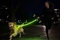 Laisse Rétractable pour Chien avec Barre Lumineuse LED, Bande Réfléchissante, Extensible Automatiquement, Poignée Ergonomique, Design Tendance en Plastique pour Grands Chiens