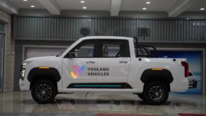 Pick-up électrique YL haut de gamme à faible vitesse - Moteur 4000-5000W - Autonomie 101-200 km - Zéro émission pour les stations balnéaires et les campus - Product Image 3