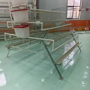 Железная маленькая или большая клетка для выращивания цыплят, 1000 ферма, яичный слой, клетка для кур, Кения, Южная Африка, Замбия - Product Image 1