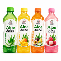 Boisson personnalisée à l'aloe vera avec pulpe d'aloe vera, jus de fruits OEM, vente en gros, marque privée, fabricant de boissons en bouteilles PE PET et canettes