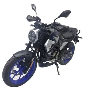 Neues Modell RATO CGP 200 cc 250 cc Chopper Motorrad mit Auf- und Abnahme-Schlagdämpfer vorne Rennsport-Motorrad Peru beliebt